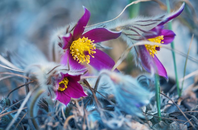 Prognoza meteo ANM, marți, 22 februarie 2022