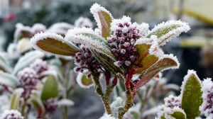 Prognoza meteo ANM, 24 - 26 februarie 2022. Vremea în următoarele 3 zile în România. Unde va fi cel mai frig
