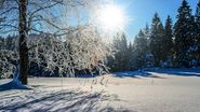 Prognoza meteo ANM, 26 - 27 februarie 2022. Cum va fi vremea în weekend. Duminică se răcește în aproape toată țara