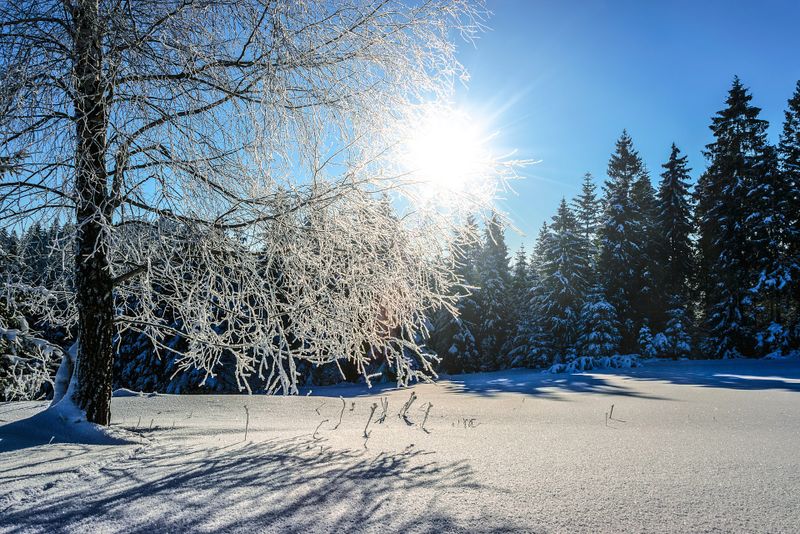 Prognoza meteo ANM, 28 februarie - 6 martie 2022. Vremea în prima săptămână de primăvară