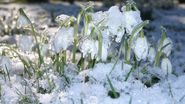 Prognoza meteo ANM, 28 februarie - 2 martie 2022. Vremea în țară în următoarele 3 zile. Mărțișorul aduce ninsori