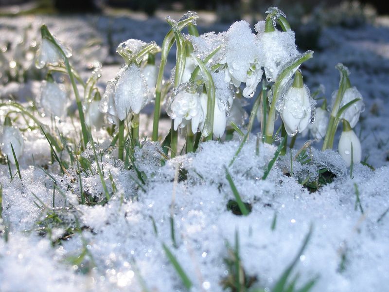 Prognoza meteo ANM, 28 februarie - 2 martie 2022. Vremea în țară în următoarele 3 zile. Mărțișorul aduce ninsori