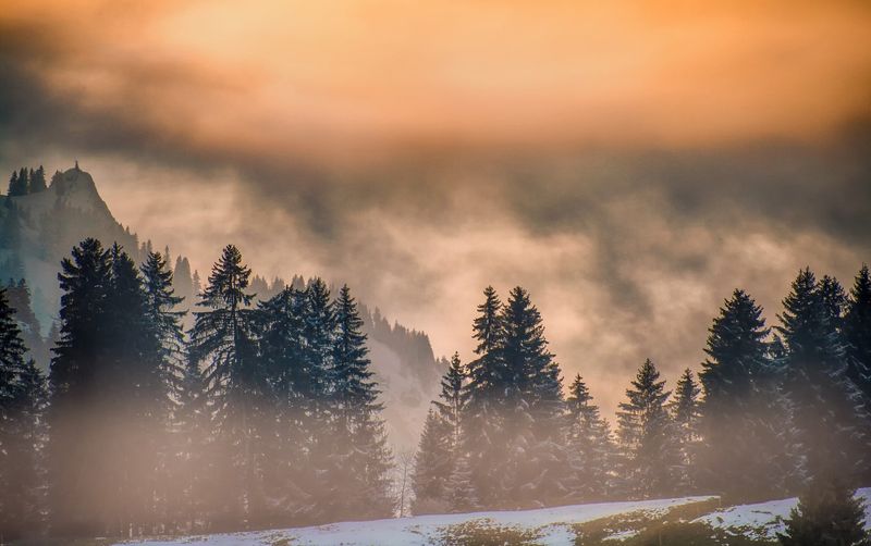 Prognoza meteo ANM, 28 februarie - 2 martie 2022. Vremea în țară în următoarele 3 zile. Mărțișorul aduce ninsori