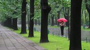 Prognoza meteo ANM, 2 - 11 martie 2022. Cum va fi vremea în București în următoarele 10 zile