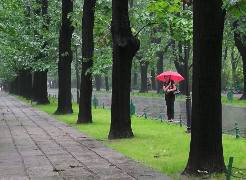 Prognoza meteo ANM, 2 - 11 martie 2022. Cum va fi vremea în București în următoarele 10 zile