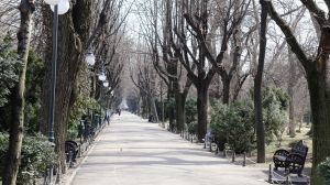 Prognoza meteo ANM, 3 - 5 martie 2022. Cum va fi vremea în țară în următoarele 3 zile. Unde va ninge