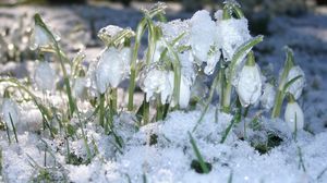Prognoza meteo ANM, 5 - 6 martie 2022. Ce temperaturi se vor înregistra în primul weekend de primăvară