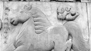 Horoscop Chinezesc luna martie 2022. Specialiștii în zodiacul chinezesc Anca Dimancea și Marian Golea prezintă cum va fi luna Iepurelui