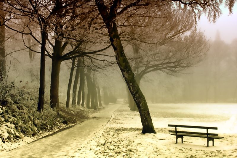 Prognoza meteo ANM, 14 martie - 3 aprilie 2022. Cum va continua să fie vremea în următoarele 3 săptămâni