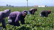  Sute de locuri de muncă vacante pentru români în Europa!