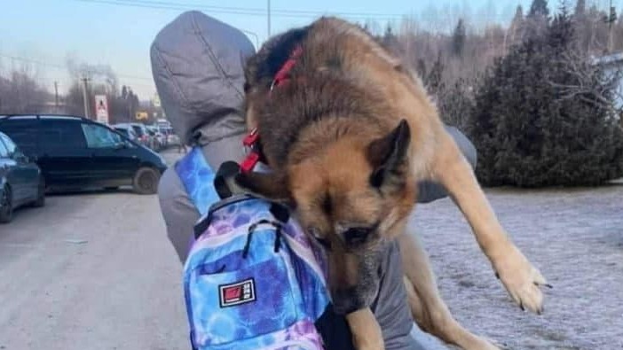  Un bărbat din Ucraina și-a cărat &icirc;n brațe c&acirc;inele ciobănesc timp de 17 kilometri p&acirc;nă la graniță