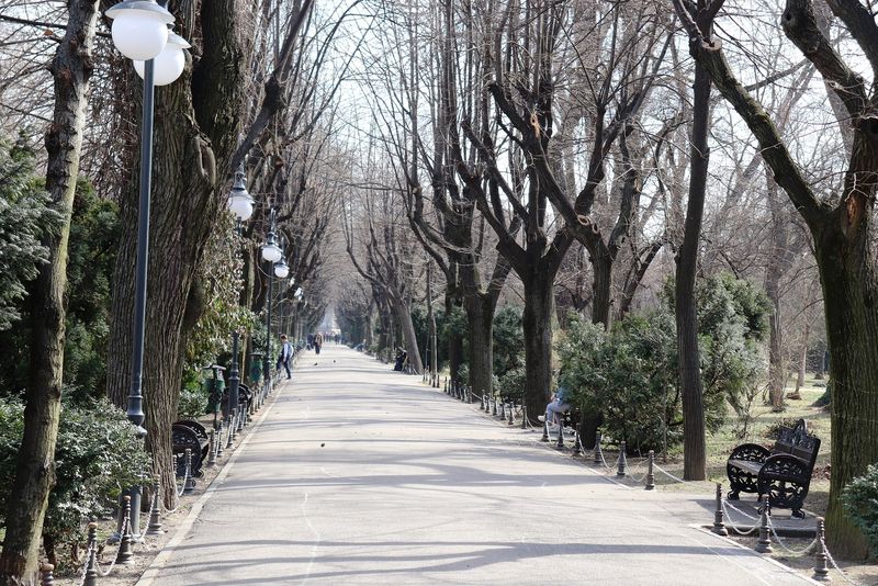 Prognoza meteo ANM, 15 - 17 martie 2022. Care vor fi temperaturile maxime în țară în următoarele 3 zile