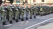 Dîncu susține că nu pot fi recrutate decât persoanele care au făcut serviciul militar, în caz de război