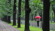 Prognoza meteo ANM, 16 - 18 martie 2022. Cum va fi vremea în țară în următoarele 3 zile