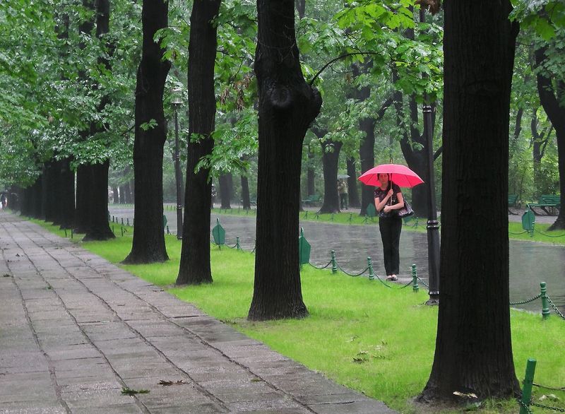 Prognoza meteo ANM, 16 - 18 martie 2022. Cum va fi vremea în țară în următoarele 3 zile