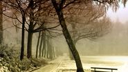 Prognoza meteo ANM, 16 - 18 martie 2022. Cum va fi vremea în țară în următoarele 3 zile