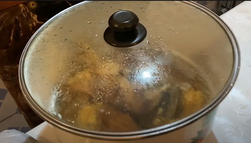 Anca de la Strehaia i-a făcut pachet lui Leo