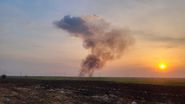 Incendiu vegetație Alexandria