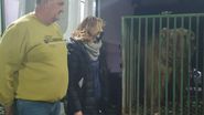 Cum și-a găsit Masha, ursoaica salvată din calea războiului, refugiul în România