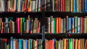 Simulare Bacalaureat 2022. Modele de subiecte la Limba și literatura română