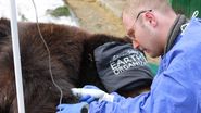Lionel de Lange, activist de mediu din Africa de Sud și fondator al Fundației Warriors of Wildlife Ukraine, le-a povestit jurnaliștilor WOWbiz cum salvează animalele dintre bombardamente în Ucraina