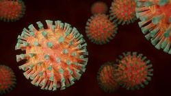 Ce virus a reapărut în România, după ani de la ultima infectare! Cazurile au explodat în acest județ