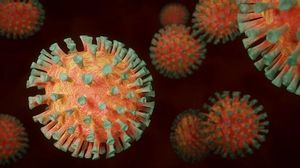 Ce virus a reapărut în România, după ani de la ultima infectare! Cazurile au explodat în acest județ
