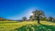 Prognoza meteo ANM, 26 - 27 martie 2022. Vremea în weekend. Maximele vor urca până la 19 grade Celsius