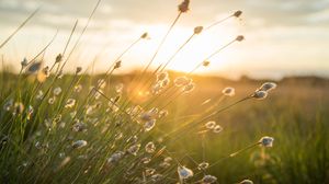 Prognoza meteo ANM, 28 martie - 25 aprilie 2022. Urmează temperaturi neobișnuit de crescute pentru această perioadă  Prognoza meteo ANM, 28 martie - 25 aprilie 2022. Urmează temperaturi neobișnuit de crescute pentru această perioadă