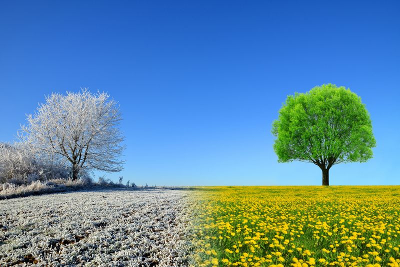 Prognoza meteo ANM, marți, 29 martie 2022