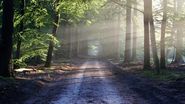 Prognoza meteo ANM, 29 martie - 10 aprilie 2022. Primele zile ale lunii aprilie aduc temperaturi reci. Vremea pentru fiecare regiune în parte