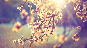 Prognoza meteo, 30 martie 2022