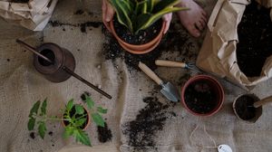 Cum să-ți îngrijești florile primăvara. Iată 6 sfaturi pentru o grădină perfectă