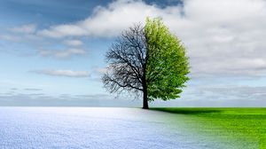 Prognoza meteo, 4 aprilie 2022