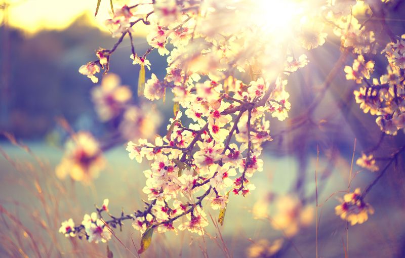 Prognoza meteo ANM, marți, 5 aprilie 2022