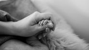 O mamă din Ucraina a recurs la un gest disperat, în plin război