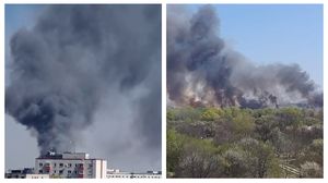 Incendiu Delta Văcărești