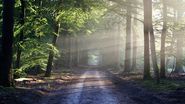 Prognoza meteo ANM, 6 - 8 aprilie 2022. Cum va continua să fie vremea în următoarele 3 zile