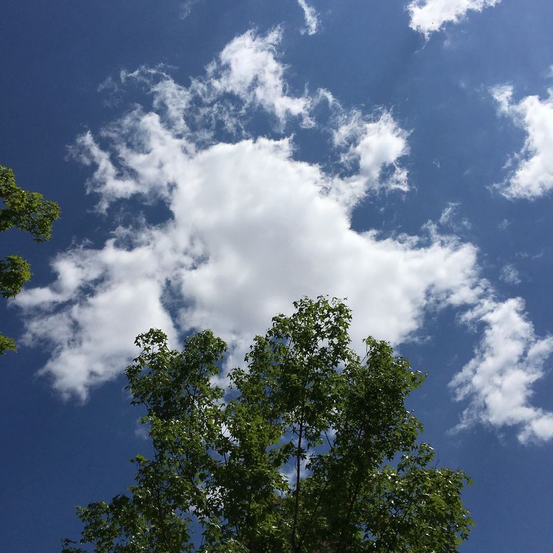Prognoza meteo ANM, 9 - 10 aprilie 2022. Sfârșitul de săptămână împarte țara în două