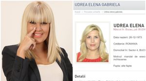 Elena Udrea a fugit cu mașina din țară
