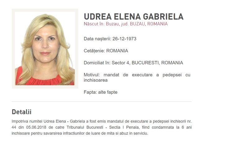 Elena Udrea a fugit cu mașina din țară