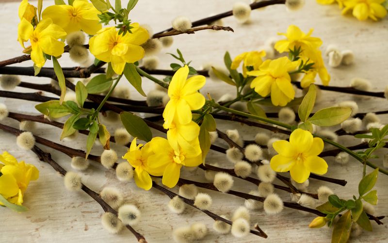 Florii: Tradiții, obiceiuri și superstiții care se țin la sărbătoarea Intrării Domnului &icirc;n Ierusalim