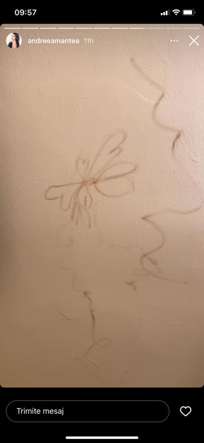 „Nu ți-e, mă, rușine? Mai ești și obraznic” Ce a făcut David când nu l-a văzut nimeni! Andreea Manta și-a ieșit din minți: „Nu vreți să știți ce mi-a făcut”