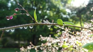 Prognoza meteo ANM, 18 aprilie - 15 mai 2022. Cum va fi vremea în următoarele 4 săptămâni. Se răcește și vin ploile