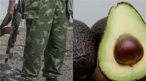 Un soldat rus a năvălit în bucătăria unui ucrainean și a găsit un avocado. Ascuns la subsol, proprietarul casei a izbucnit în râs când a ieșit. Ce-a putut să facă rusul cu fructul exotic?