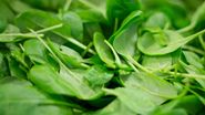 Salate de primăvară: 5 rețete fresh simplu de preparat