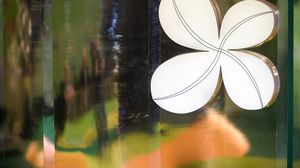 Rezultate LOTO 6/49, Joker, 5/40, Noroc