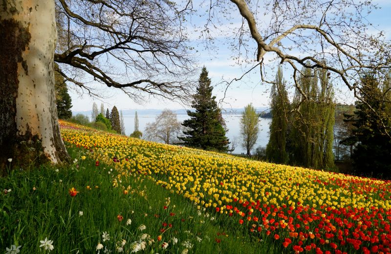 Prognoza meteo, vineri, 6 mai 2022