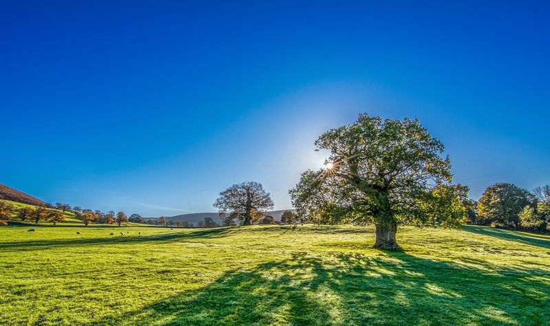 Prognoza meteo ANM, 9 - 15 mai 2022. Temperaturi de peste 20 de grade Celsius în toată țara. Vezi ce se întâmplă cu ploile