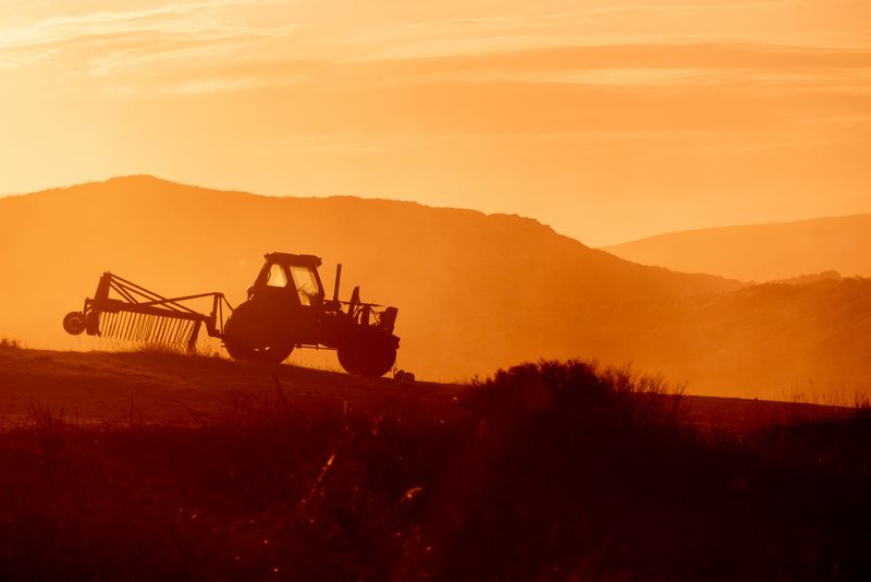 Guvernul susține fermierii. Se dau 200 milioane de euro pentru procesarea produselor agricole în România